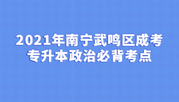 2021年南寧武鳴區(qū)成考專升本政治必背考點